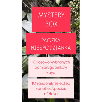 Mystery box store with hoya flowers